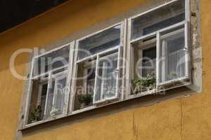 Old windows with flowers on the windowsill