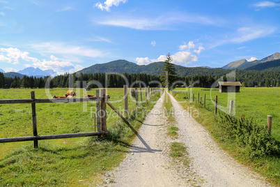 Mountain meadows and pastures in the Austrian Alps