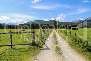 Mountain meadows and pastures in the Austrian Alps