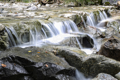 Mountain river flowing through the green forest