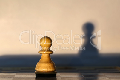 Chess piece - pawn and shadow from it