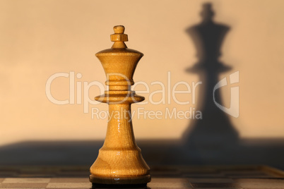 Chess piece - king and shadow from her