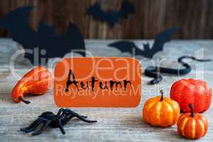 Orange Label, Text Autumn, Scary Halloween Decoration