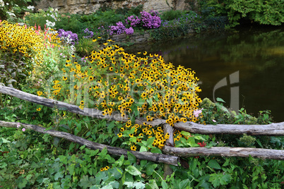 Yellow flowers grow near a small pond