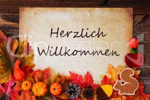 Old Paper With Autumn Decoration, Willkommen Means Welcome