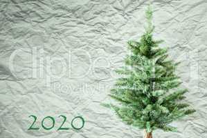 Green Fir Tree, Crumpled Paper Background, Text 2020