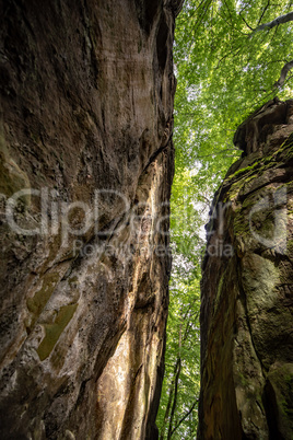 In der Eifel