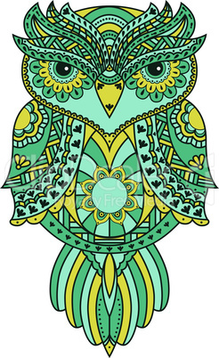 Serious big owl with various pattern