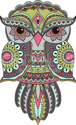 Serious owl with various pattern