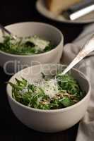 Salad Arugula and Parmesan