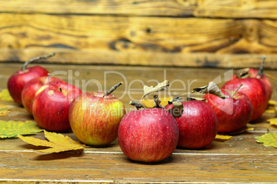Composition of ripe red apples on a blurred background