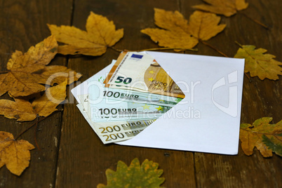 Cash copies of euros in an envelope are on the table