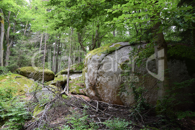 Mühlsteine an der Kösseine