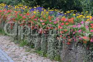 Mauer mit Blumen