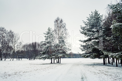 Scenic winter landscape