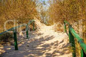 way at the Baltic sea in Poland through dunes