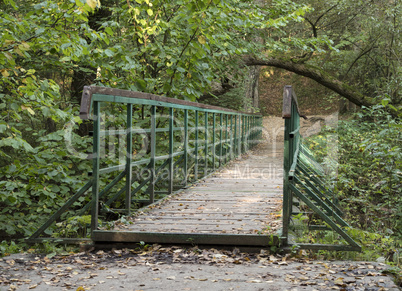 Bridge in the autumn forest on a sunny day.