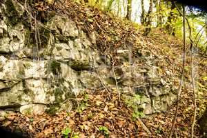 Jura limestone shifts of the Swabian Alb in Germany