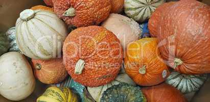 Abstract Several Gourds Background