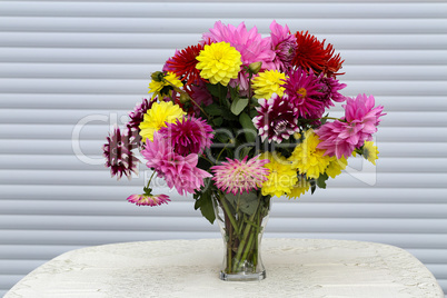 A beautiful bouquet of dahlias in a vase