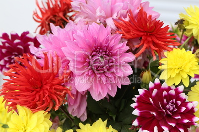 A beautiful bouquet of dahlias in a vase