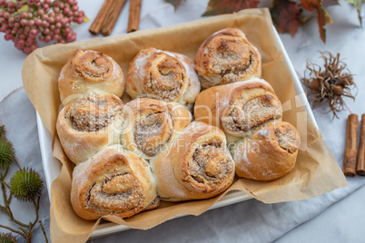 Zimtschnecken Zimtschnecken