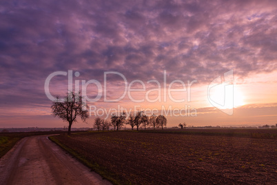 colorful sunset with clouds and trees