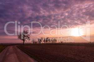 colorful sunset with clouds and trees