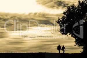 silhouette of a couple walking in the evening