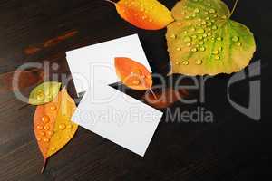 Business cards, leaves