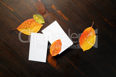 Business cards, autumn leaves