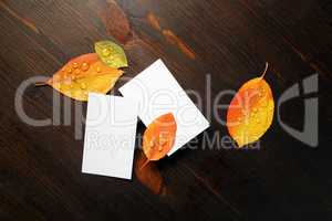 Business cards, autumn leaves