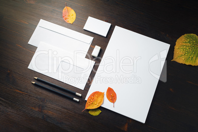 Stationery, autumn leaves