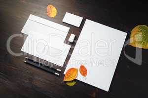 Stationery, autumn leaves