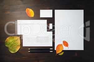 Blank stationery, autumn leaves