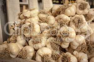 Garlic drying