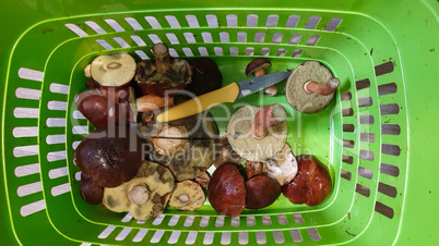 Basket with various raw mushrooms on the table