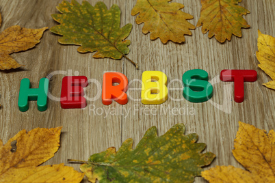 AUTUMN - The word is laid out of multi-colored plastic letters