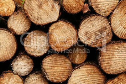 Close up wooden stacked sawn logs for background or abstraction