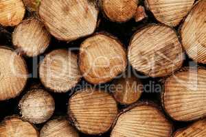 Close up wooden stacked sawn logs for background or abstraction