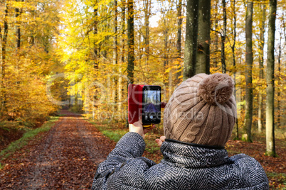 A woman takes pictures of a beautiful autumn forest