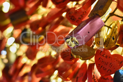 Padlocks of love #5