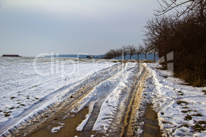 Road track on snow covered field road