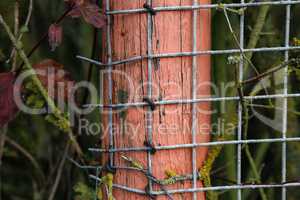 Metal mesh is attached on a wooden pole