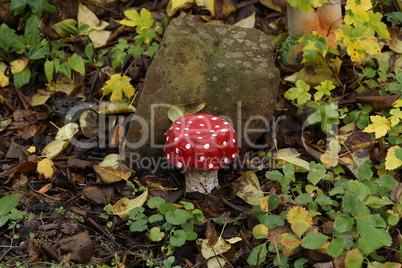Amanita decorative mushroom made of concrete on a site near the house
