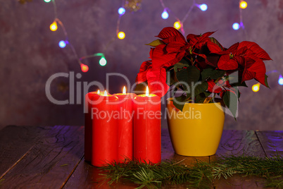 Red Advent candles stand on a wooden table