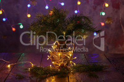 Vase with spruce branches stands on the table.