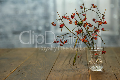 A dry twig in a glass vase is on the table