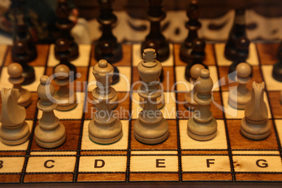 Wooden chess pieces stand on the board before the start of the new game