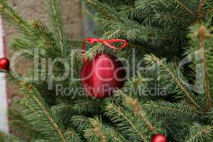 Beautiful bright balls hang on the Christmas tree